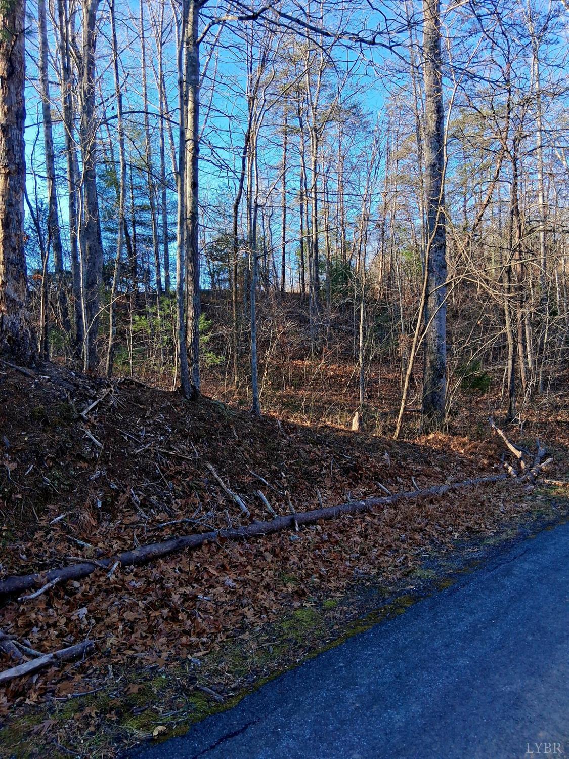 0 Peters Creek Road Big Island, VA 24526 - Photo 4 of 6 a view of a yard with large trees
