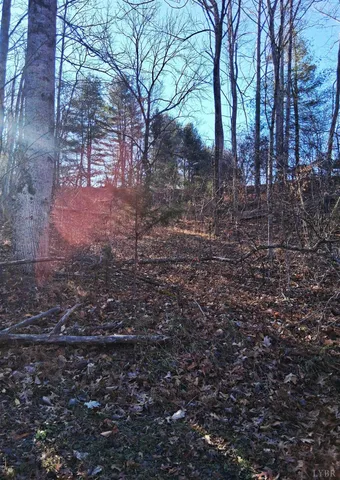a view of a yard with trees
