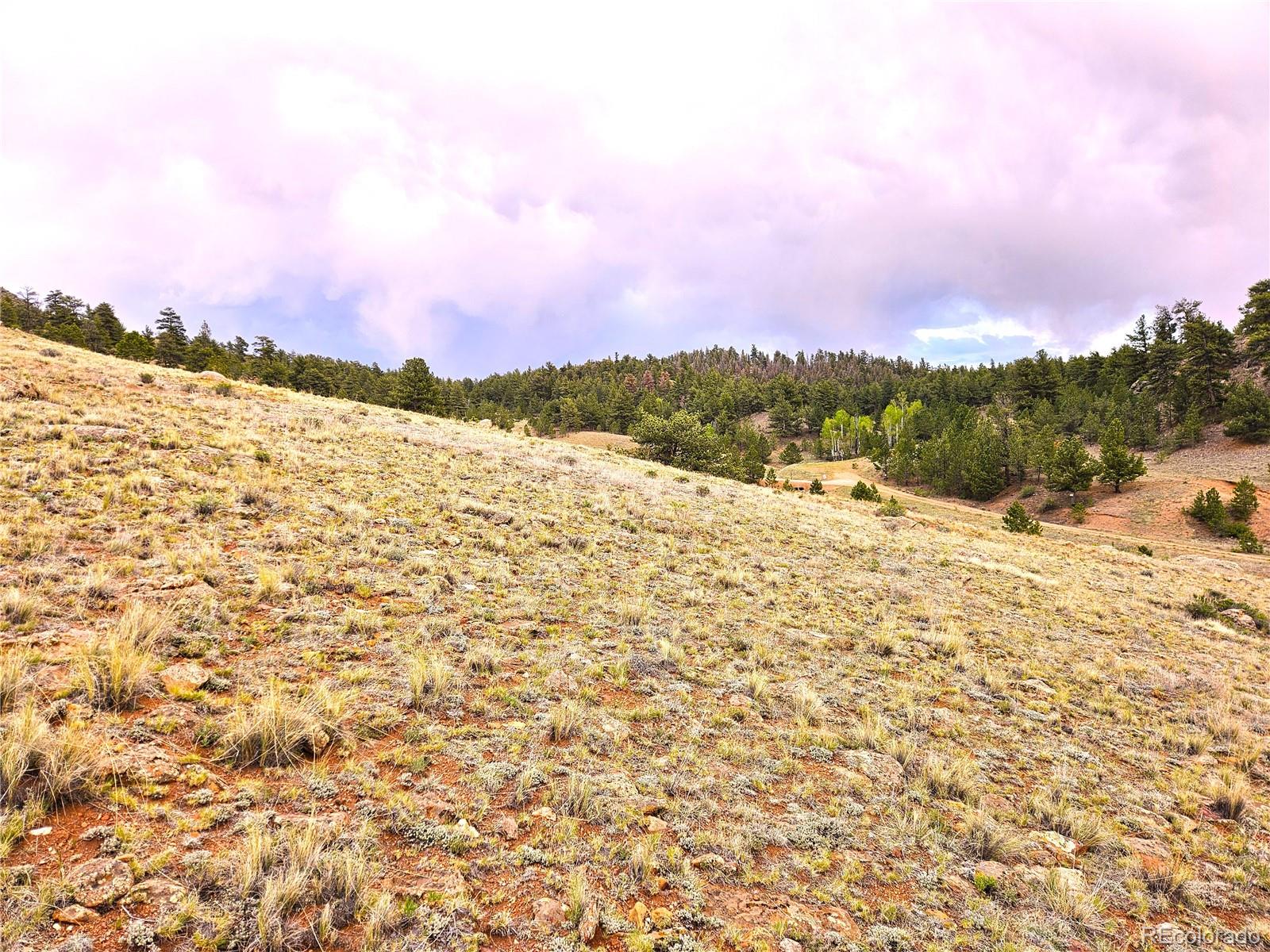 Fernando Trail Hartsel, CO 80449 - Photo 25 of 35