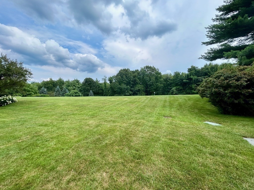 196 Swanson Road, Unit 510 Boxborough, MA 01719 - Photo 11 of 20 a view of a grassy field with trees in the background