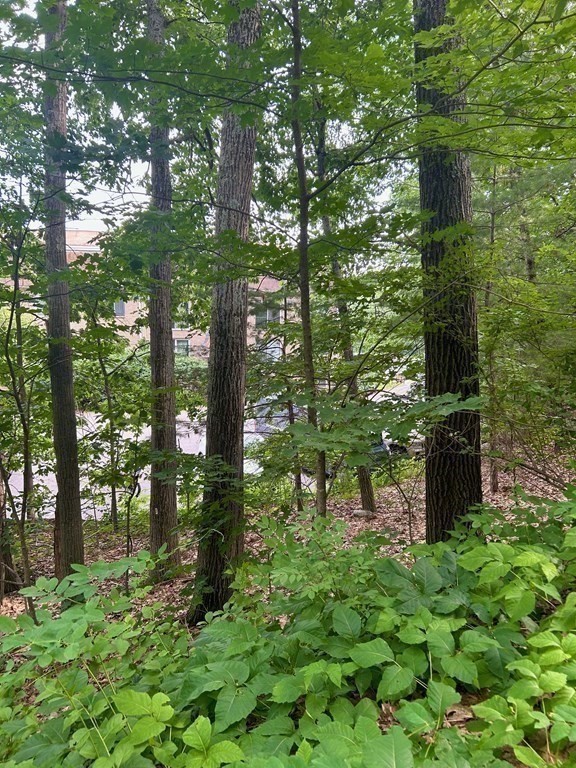 196 Swanson Road, Unit 510 Boxborough, MA 01719 - Photo 13 of 20 a backyard of a building with lots of green space