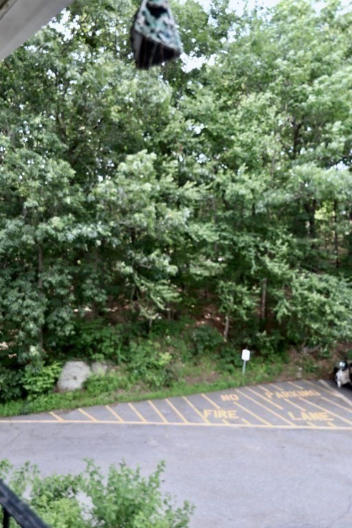 196 Swanson Road, Unit 510 Boxborough, MA 01719 - Photo 14 of 20 a view of a yard with plants and a bench