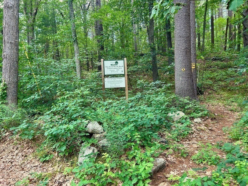 196 Swanson Road, Unit 510 Boxborough, MA 01719 - Photo 16 of 20 a backyard of a house with lots of green space and trees all around