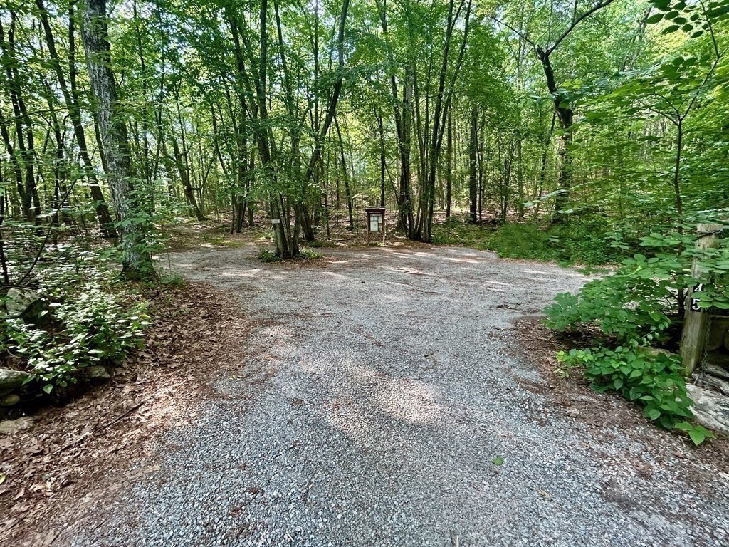 196 Swanson Road, Unit 510 Boxborough, MA 01719 - Photo 19 of 20 a view of outdoor space and trees