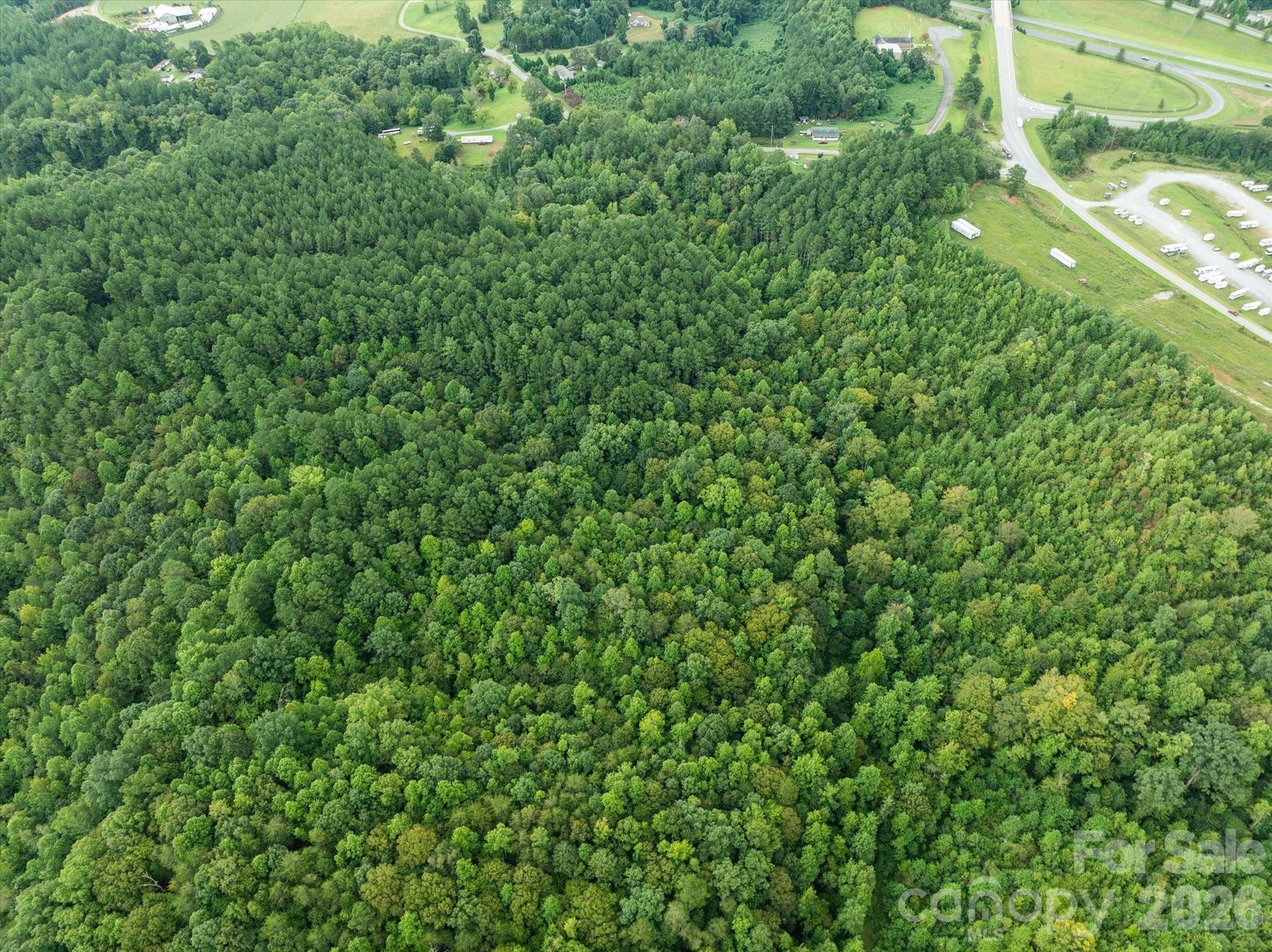 Tbd Pea Ridge Road Mill Spring, NC 28756 - Photo 11 of 25 a view of a lush green forest