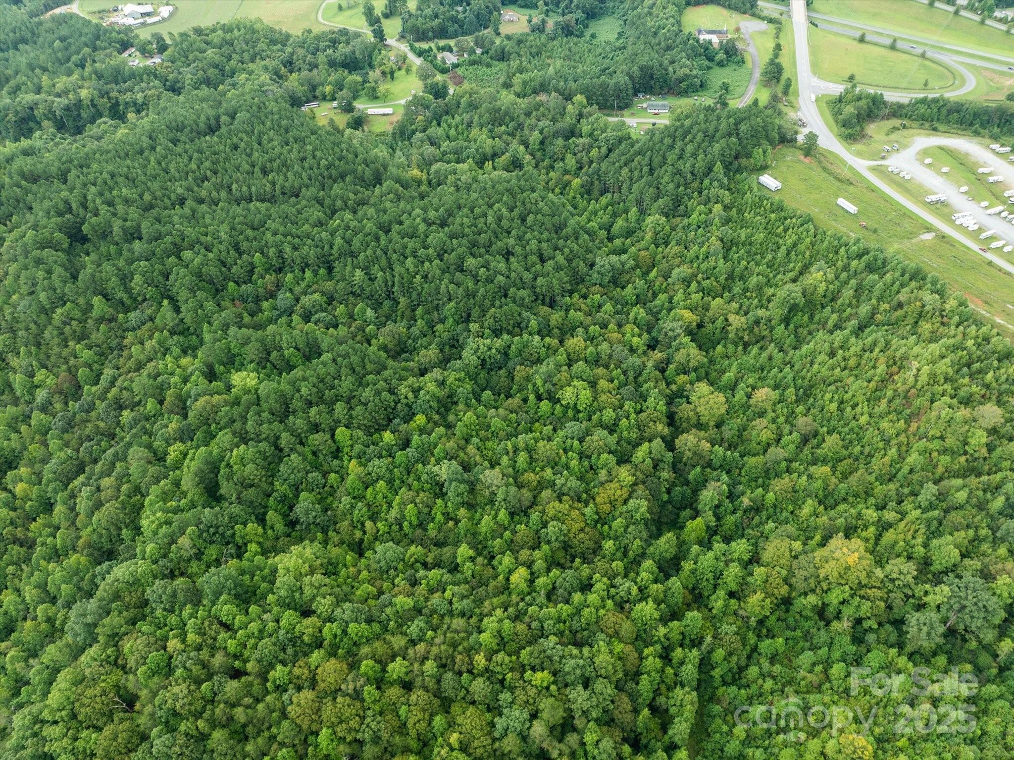 Tbd Pea Ridge Road Mill Spring, NC 28756 - Photo 11 of 25 a view of a lush green forest