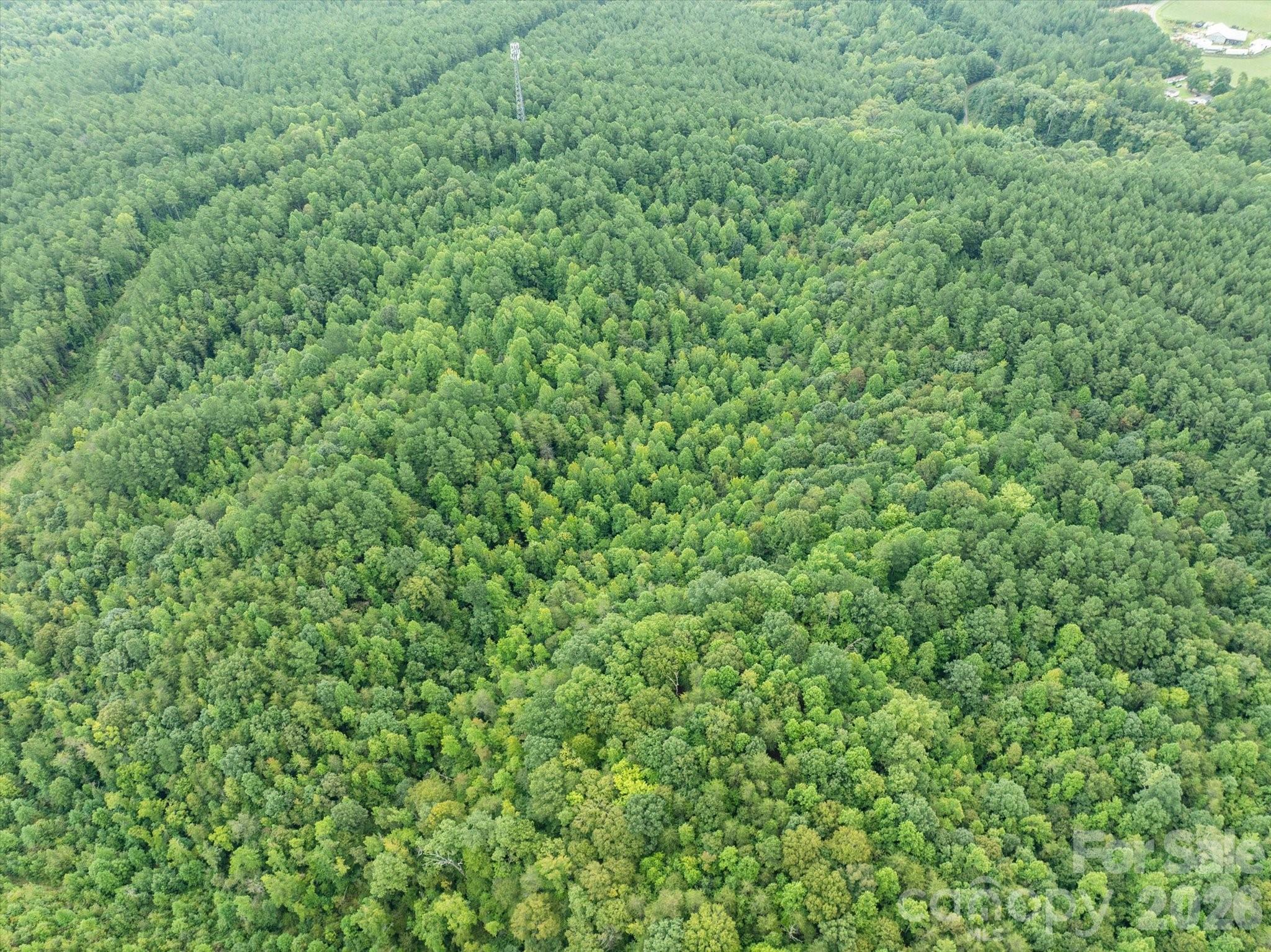 Tbd Pea Ridge Road Mill Spring, NC 28756 - Photo 12 of 25 a view of a green field