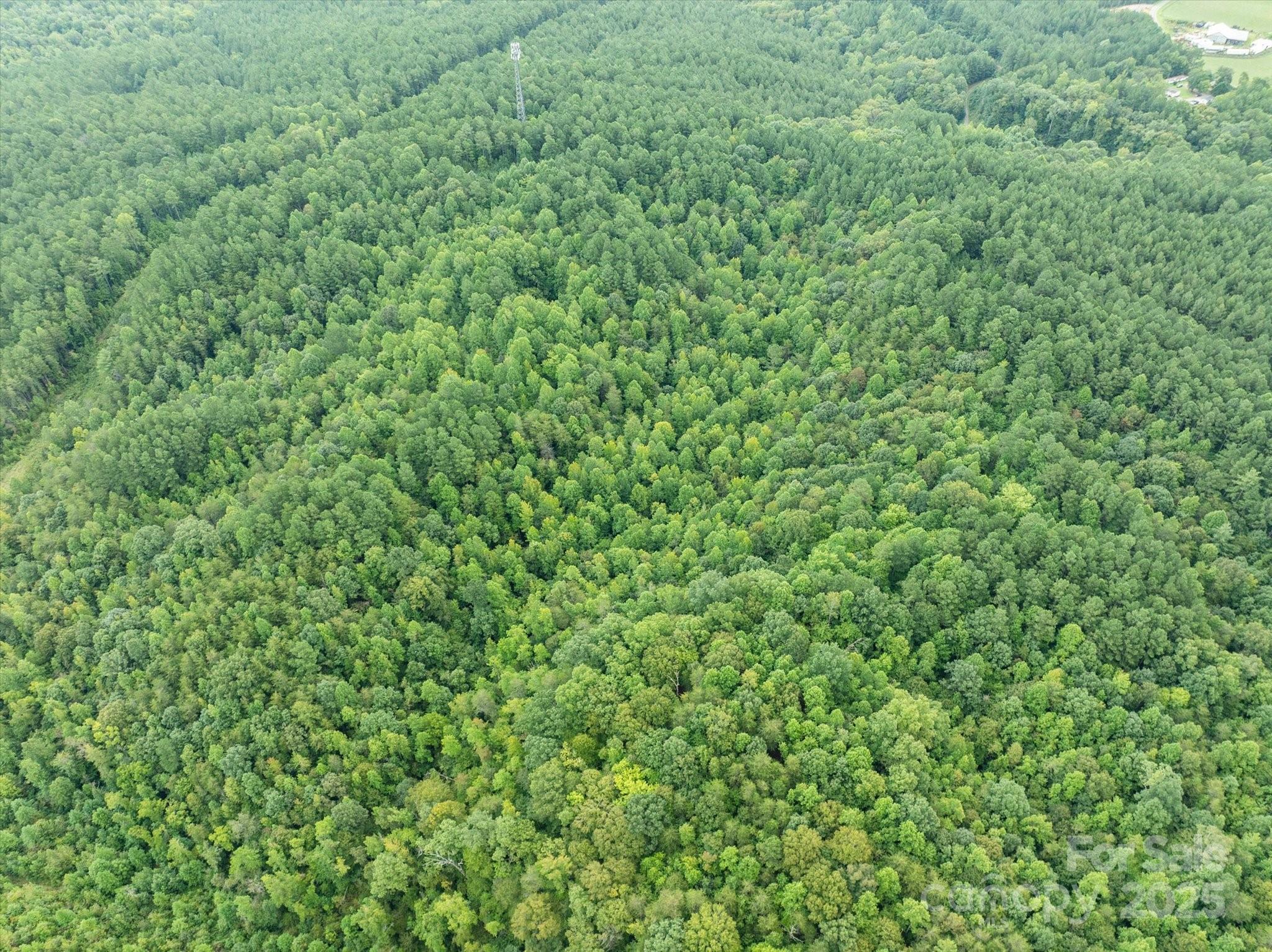 Tbd Pea Ridge Road Mill Spring, NC 28756 - Photo 12 of 25 a view of a green field