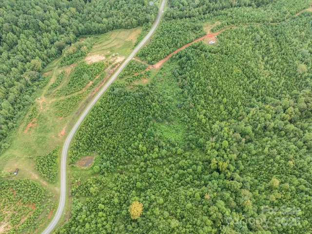 a map view of a forest