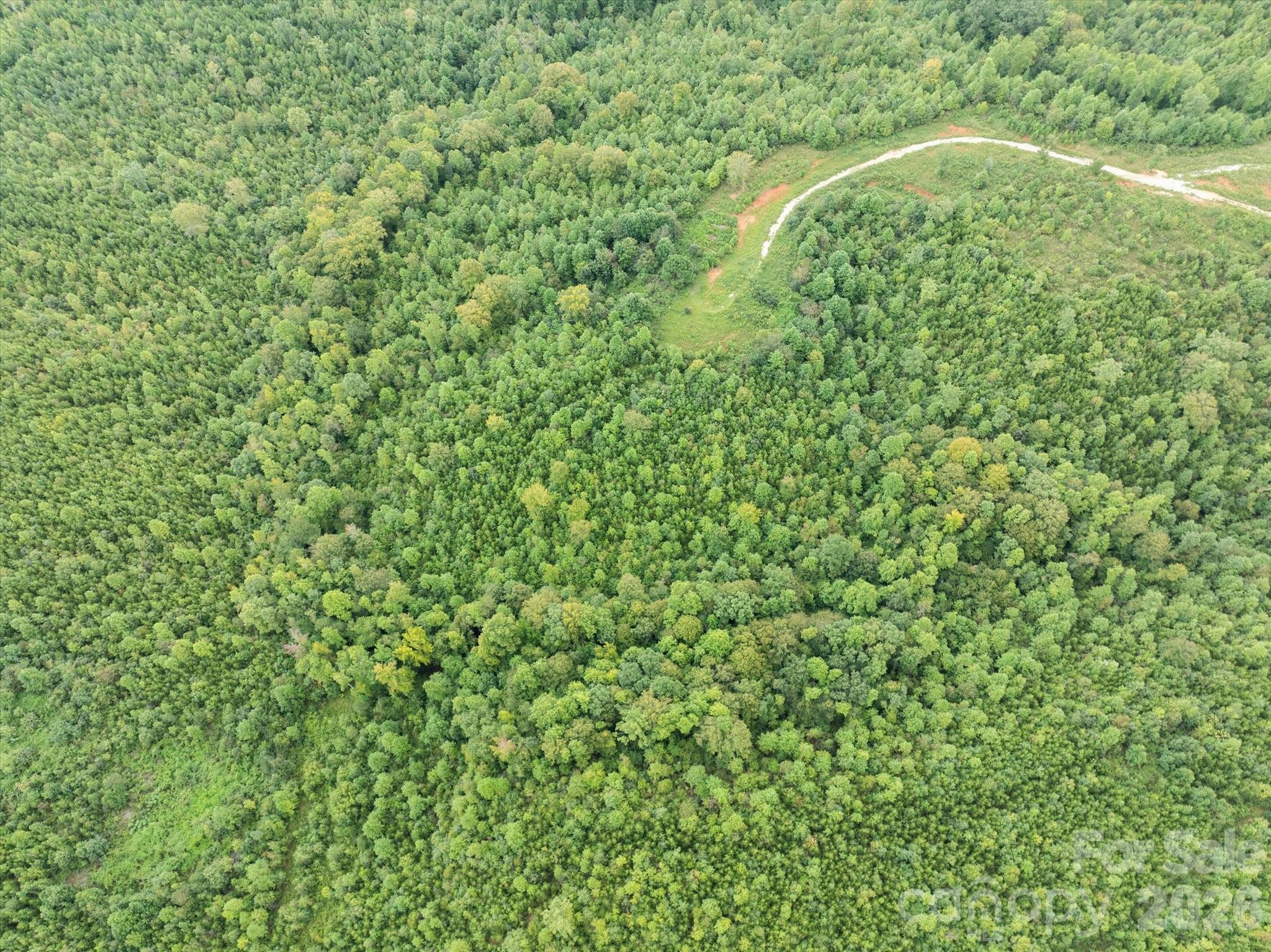 Tbd Pea Ridge Road Mill Spring, NC 28756 - Photo 14 of 25 a map view of a forest