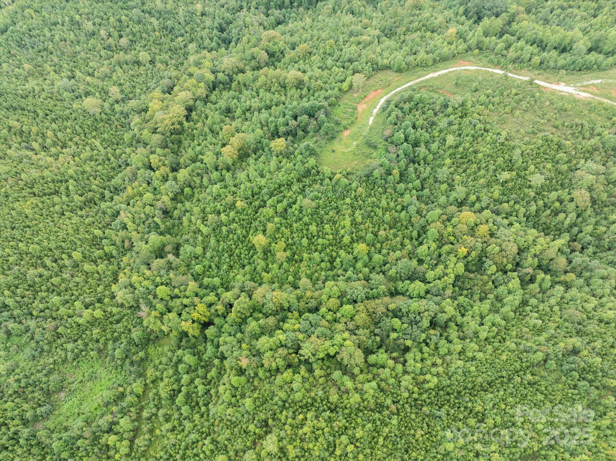 Tbd Pea Ridge Road Mill Spring, NC 28756 - Photo 14 of 25 a map view of a forest