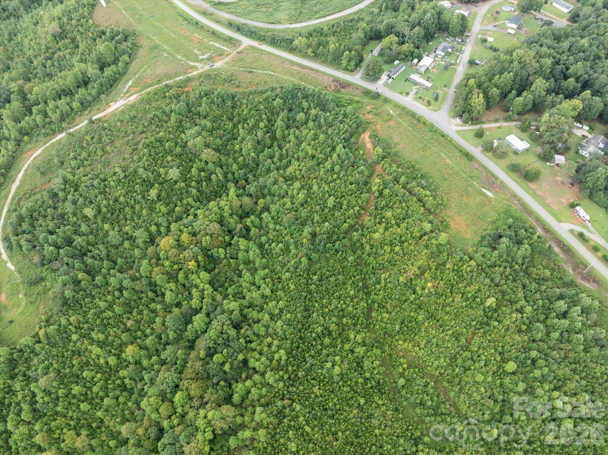 Tbd Pea Ridge Road Mill Spring, NC 28756 - Photo 16 of 25 a view of a yard with a tree