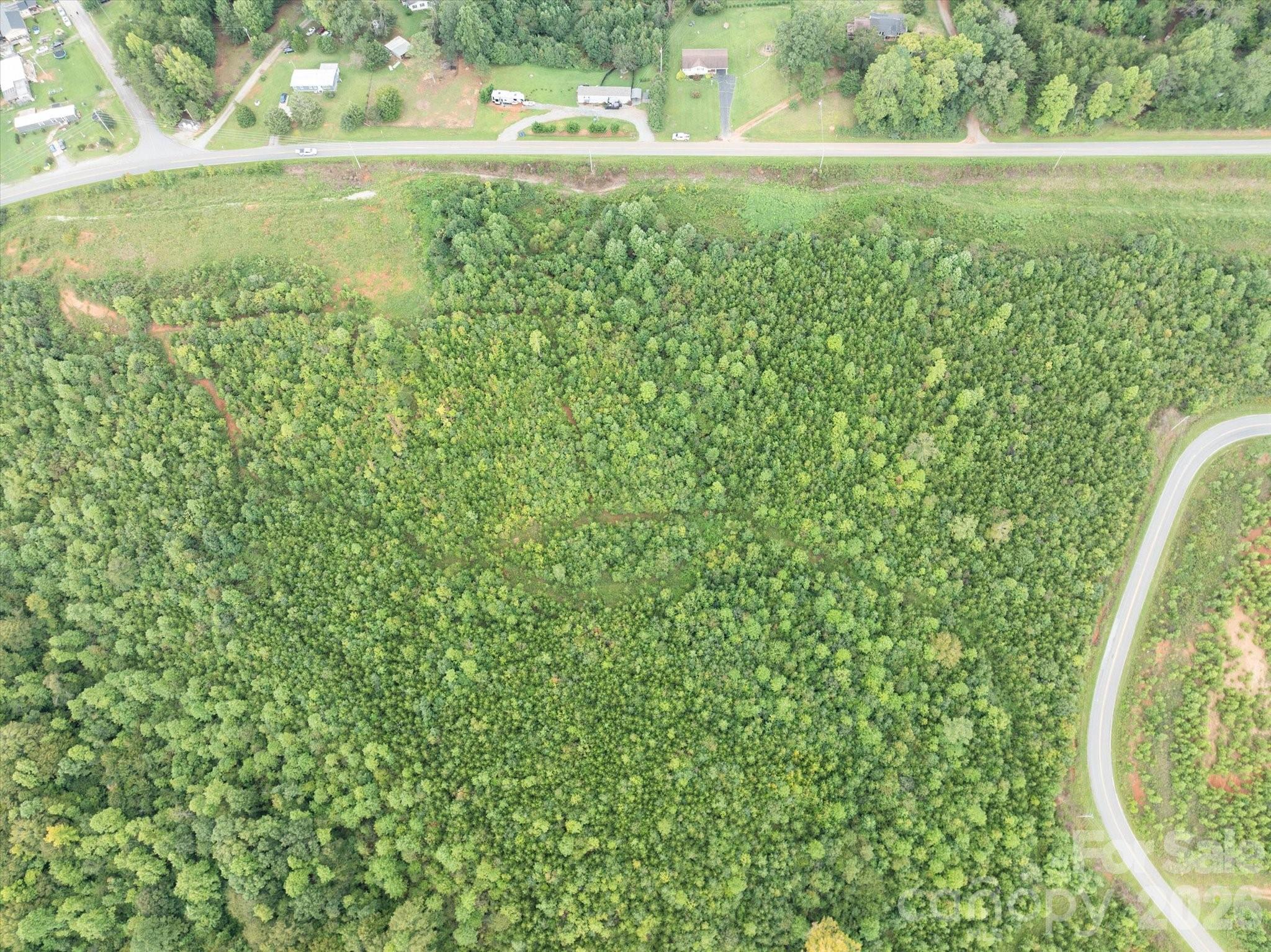 Tbd Pea Ridge Road Mill Spring, NC 28756 - Photo 17 of 25 a view of a field with a tree