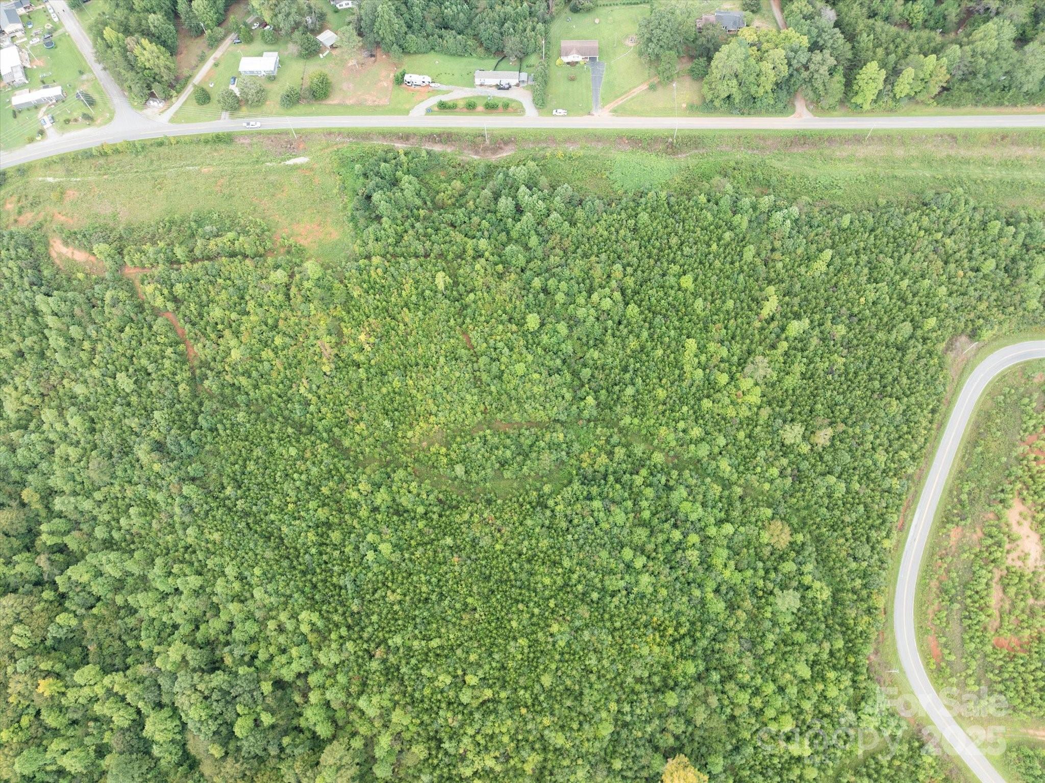 Tbd Pea Ridge Road Mill Spring, NC 28756 - Photo 17 of 25 a view of a field with a tree