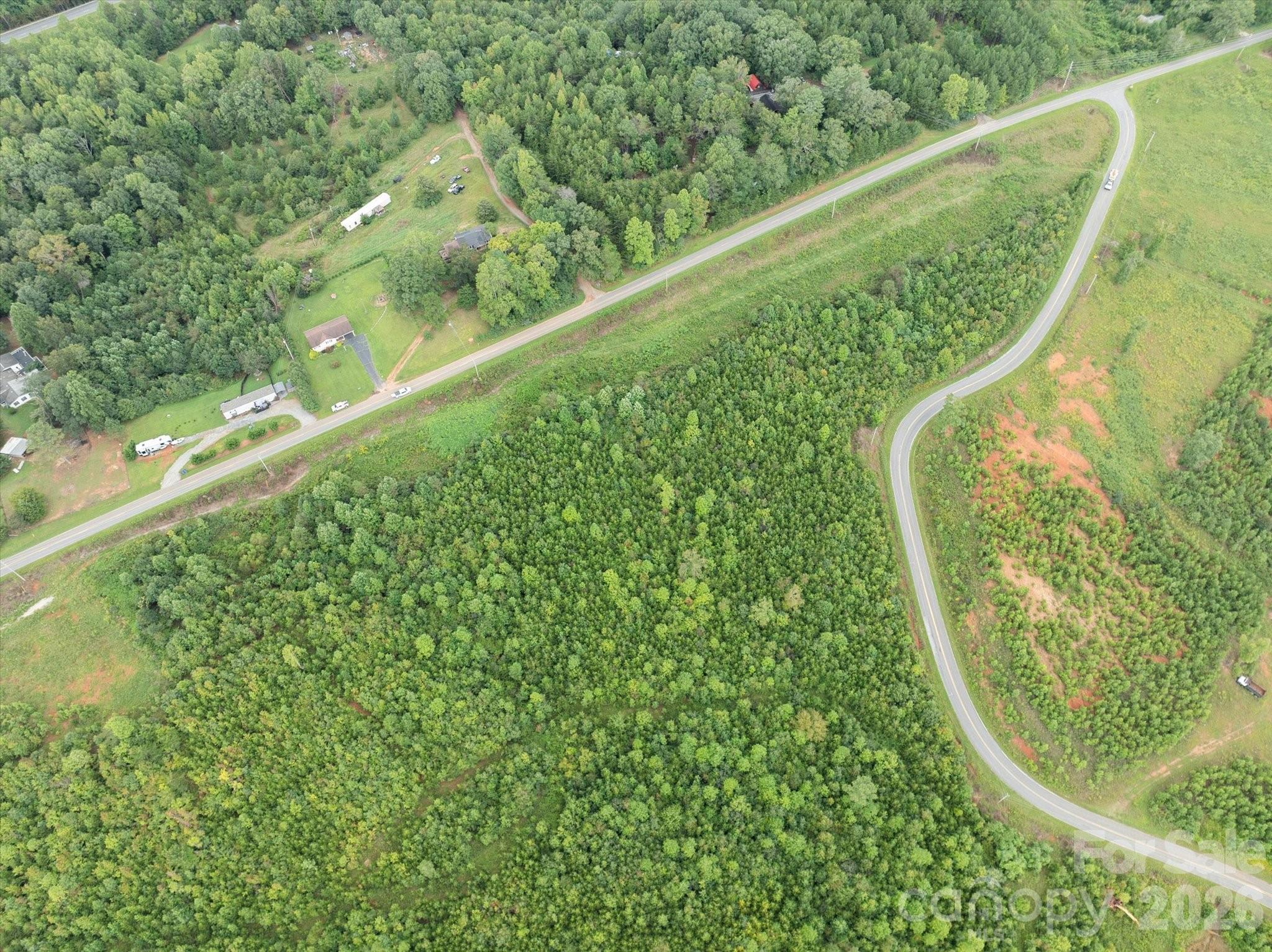 Tbd Pea Ridge Road Mill Spring, NC 28756 - Photo 18 of 25 a view of a yard with a plant
