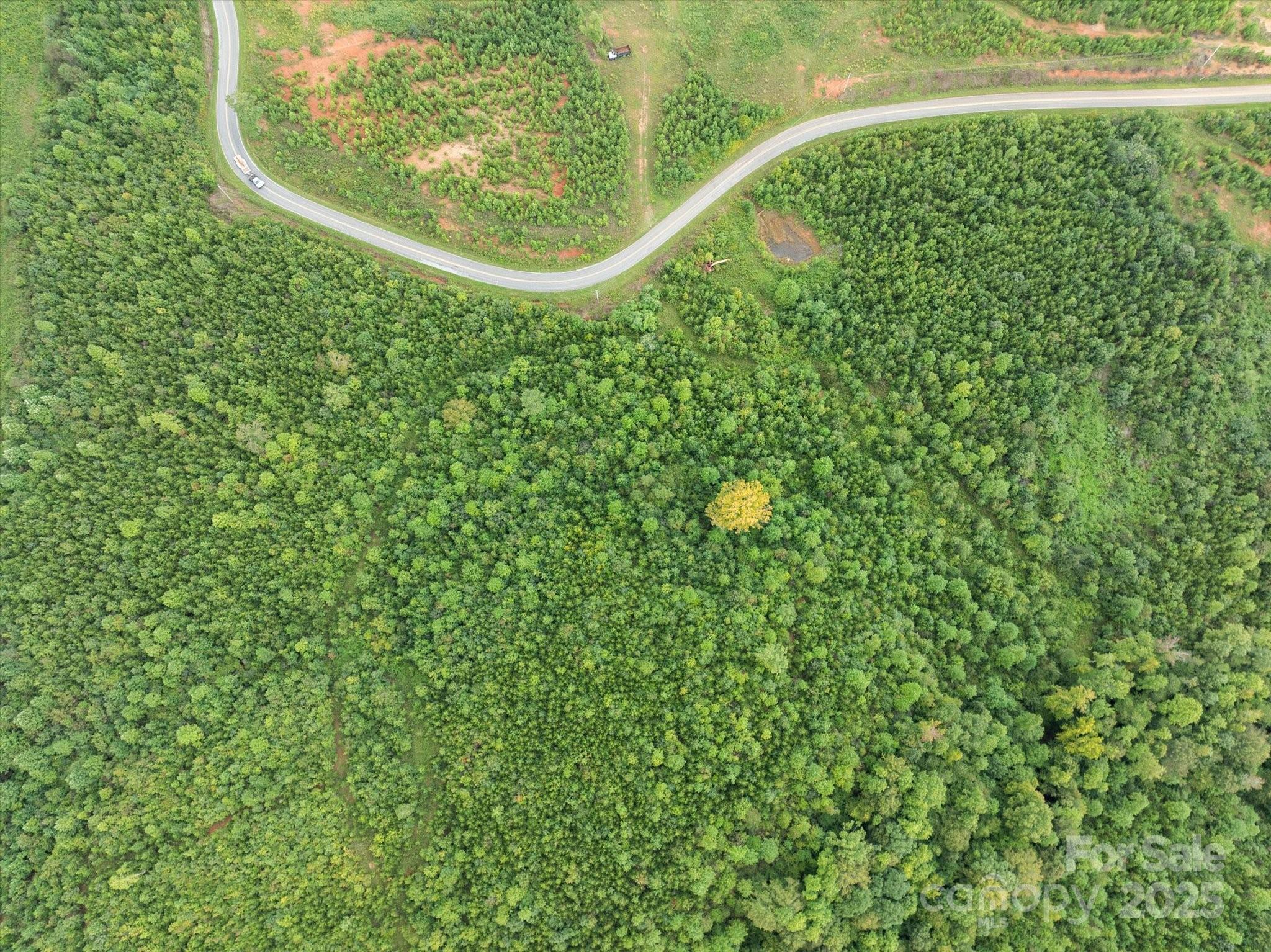 Tbd Pea Ridge Road Mill Spring, NC 28756 - Photo 19 of 25 a view of a yard