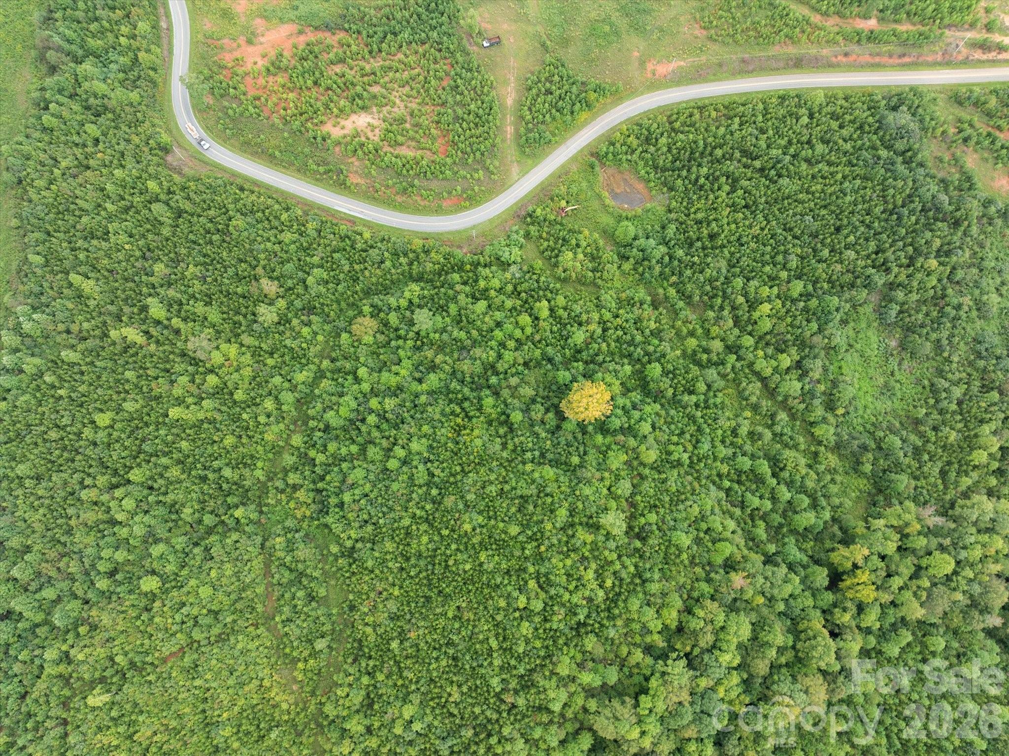 Tbd Pea Ridge Road Mill Spring, NC 28756 - Photo 19 of 25 a view of a yard
