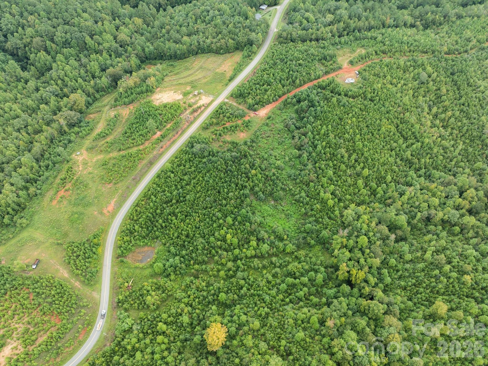 Tbd Pea Ridge Road Mill Spring, NC 28756 - Photo 20 of 25 a view of a yard with a tree