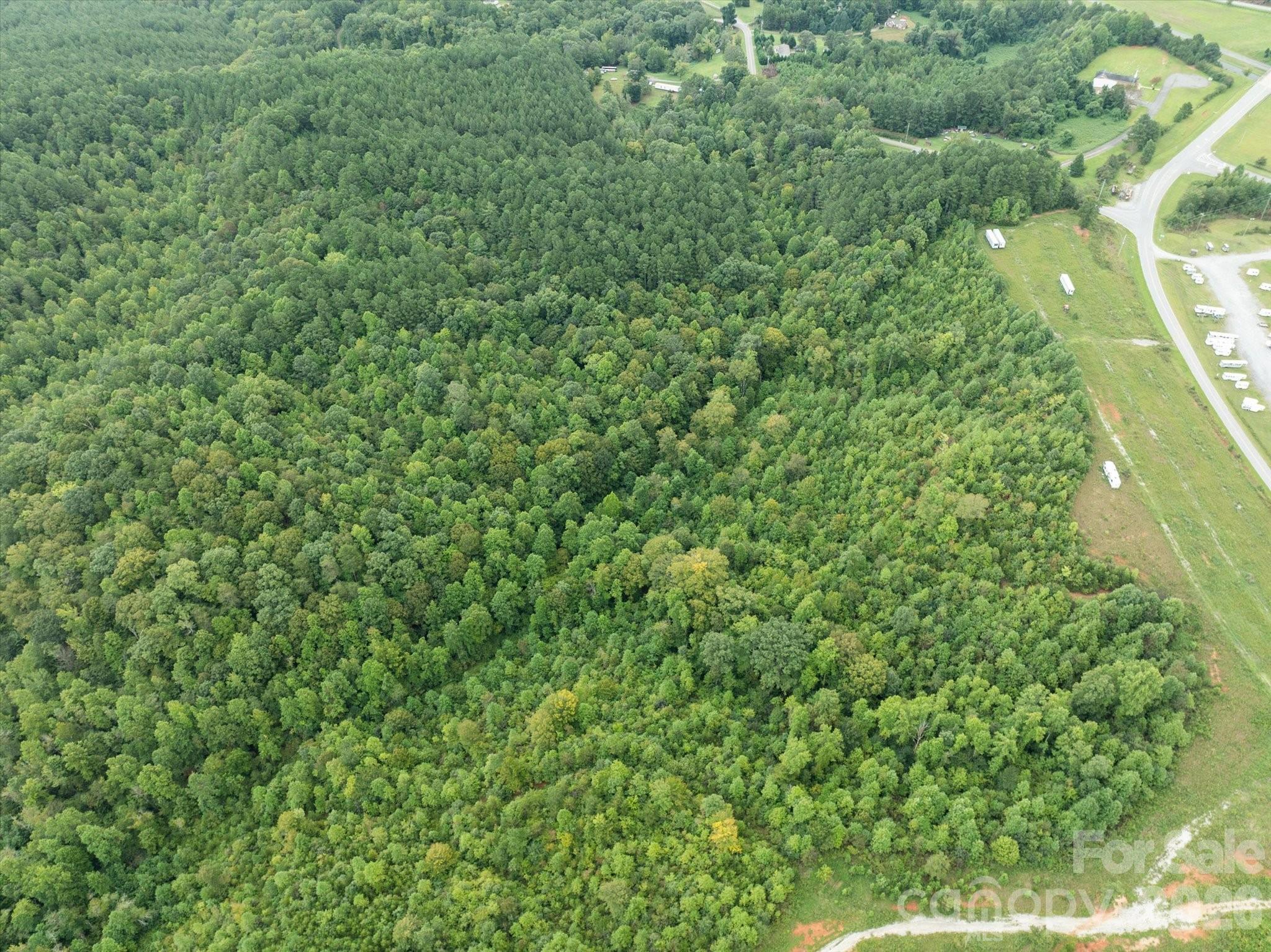 Tbd Pea Ridge Road Mill Spring, NC 28756 - Photo 21 of 25 a view of a lush green forest