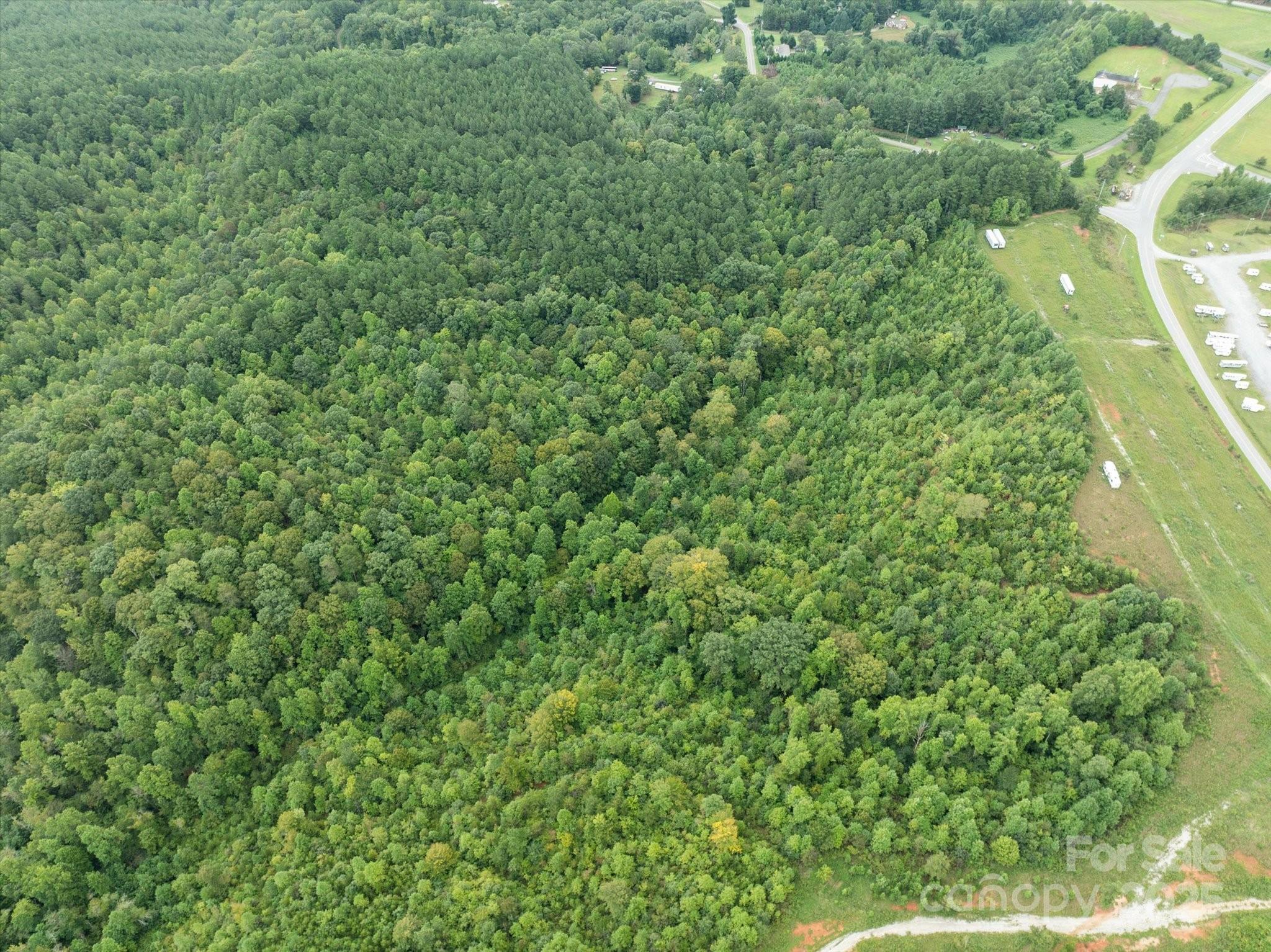 Tbd Pea Ridge Road Mill Spring, NC 28756 - Photo 21 of 25 a view of a lush green forest