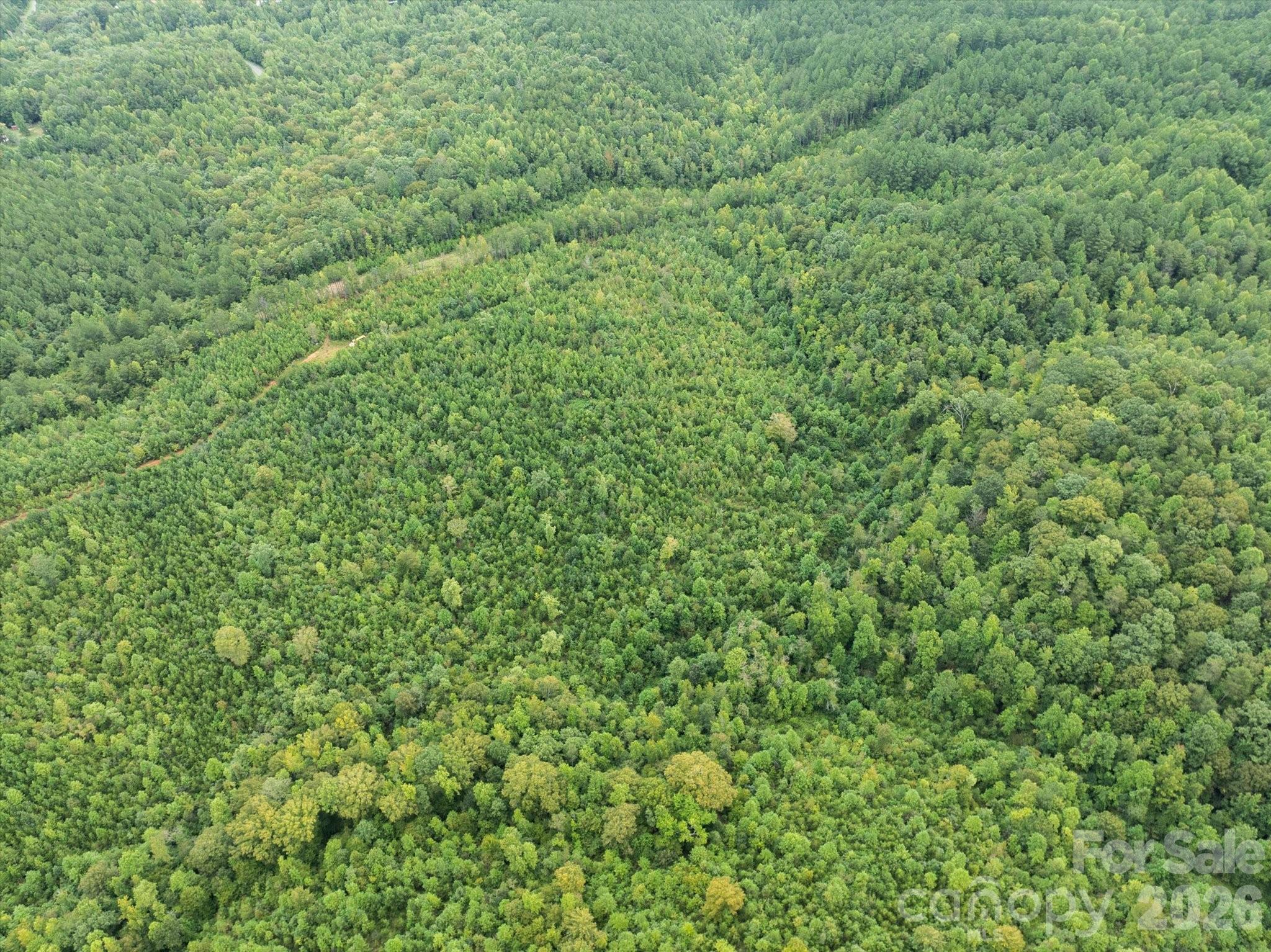 Tbd Pea Ridge Road Mill Spring, NC 28756 - Photo 22 of 25 a view of a green field