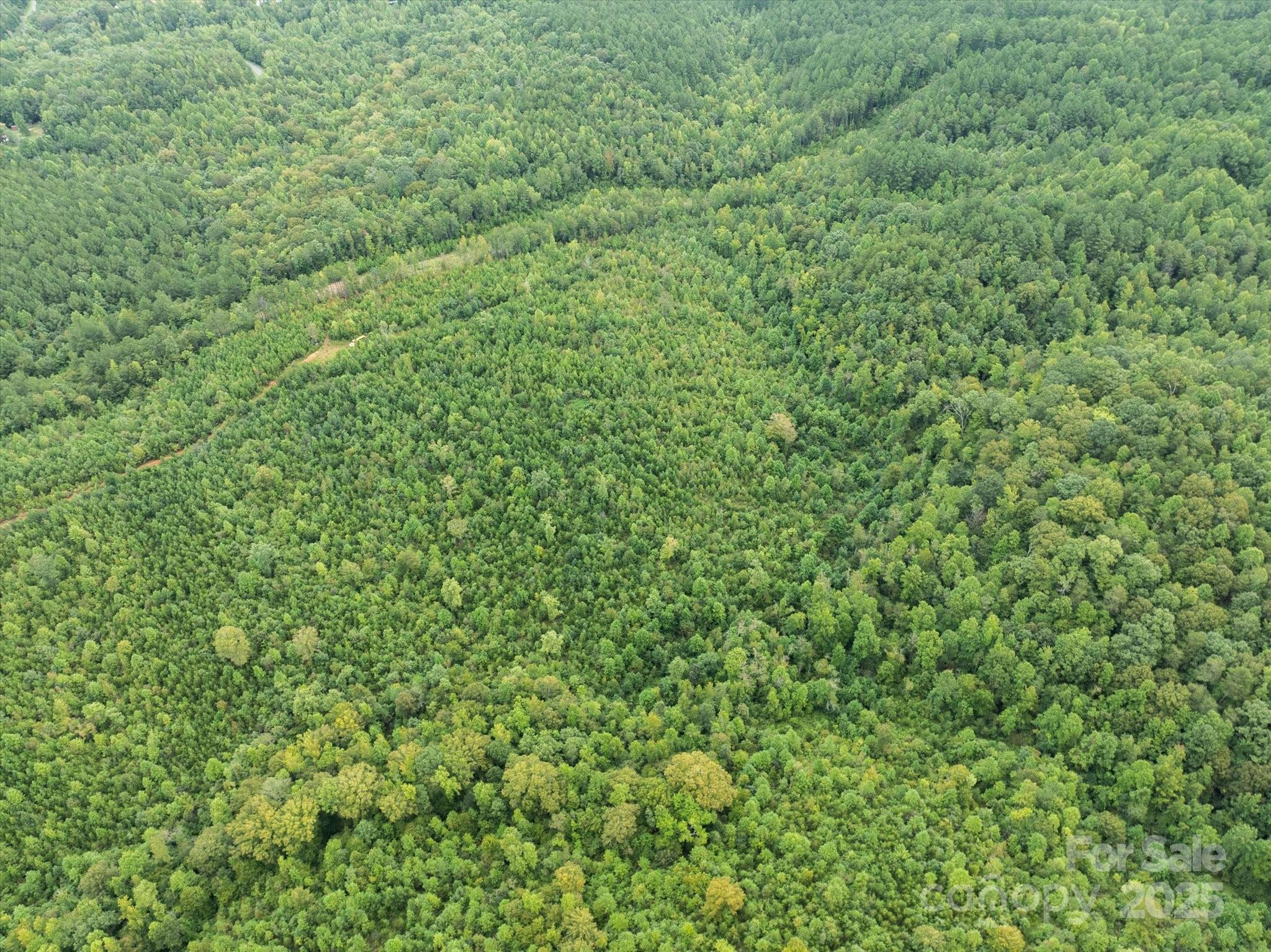 Tbd Pea Ridge Road Mill Spring, NC 28756 - Photo 22 of 25 a view of a green field