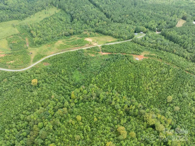 a view of a green field with lots of bushes