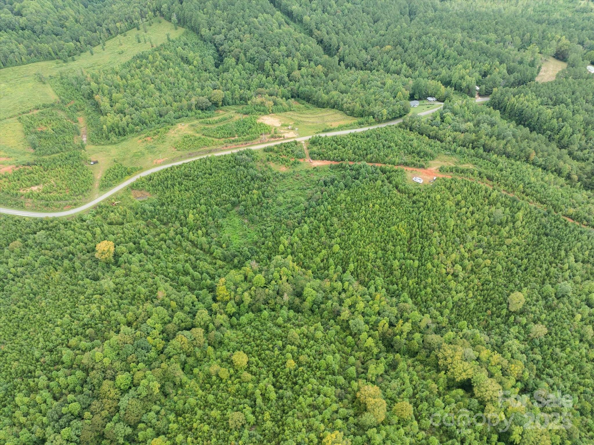 Tbd Pea Ridge Road Mill Spring, NC 28756 - Photo 23 of 25 a view of a big yard with large trees