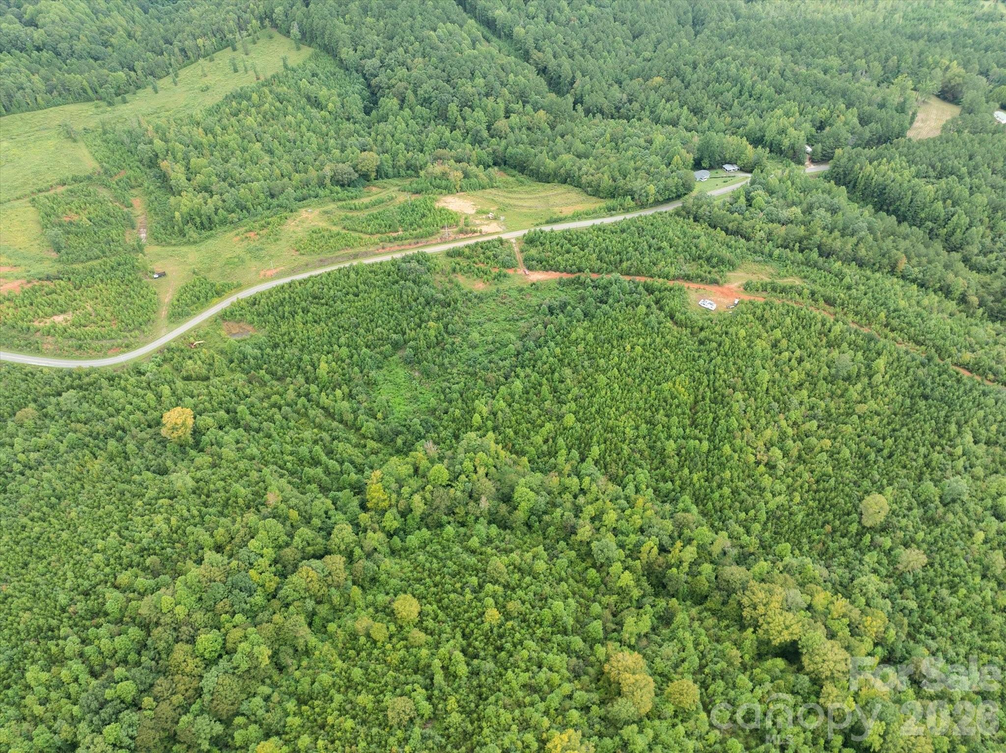 Tbd Pea Ridge Road Mill Spring, NC 28756 - Photo 23 of 25 a view of a big yard with large trees