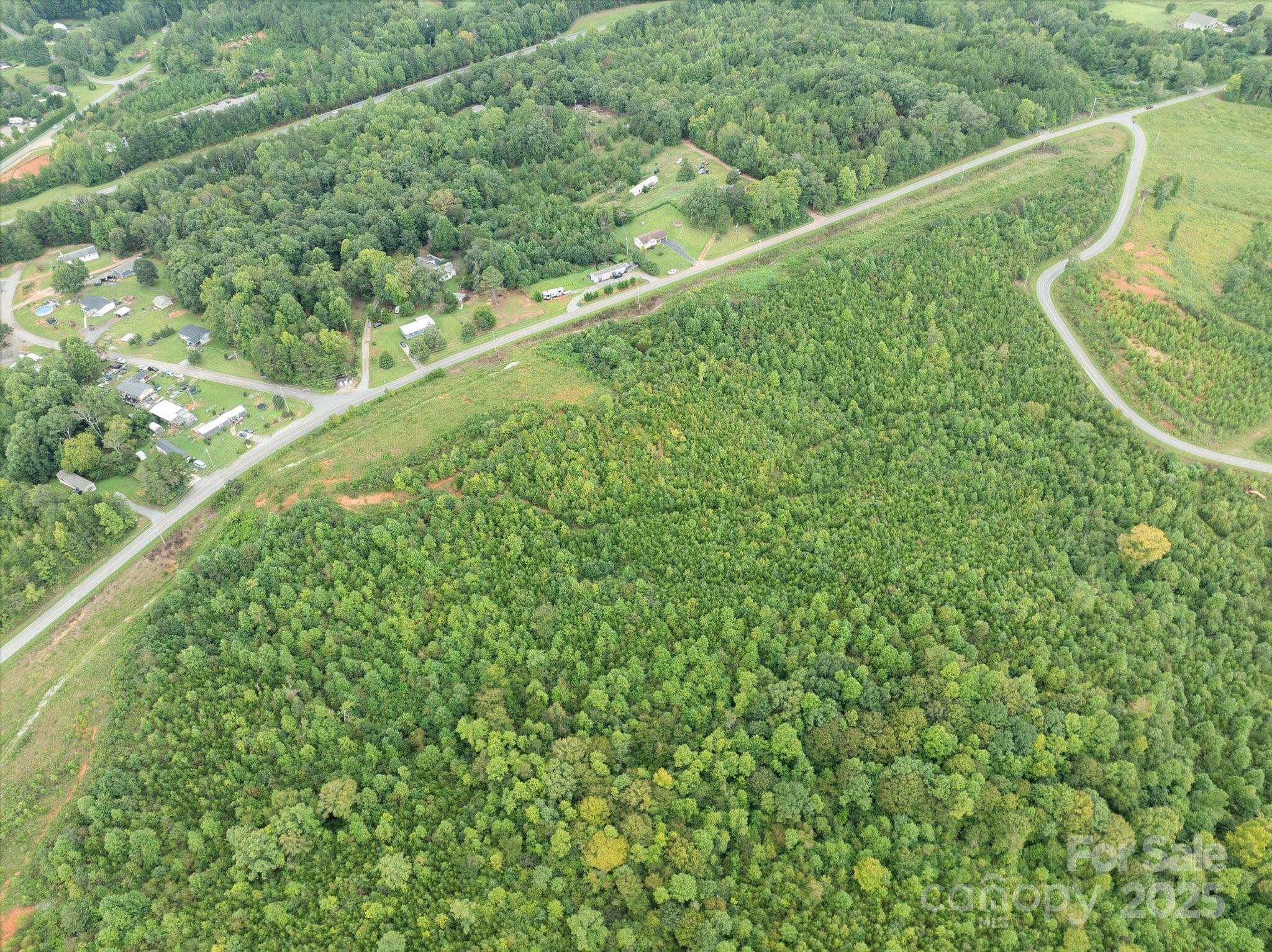 Tbd Pea Ridge Road Mill Spring, NC 28756 - Photo 24 of 25 a view of a green field with lots of bushes