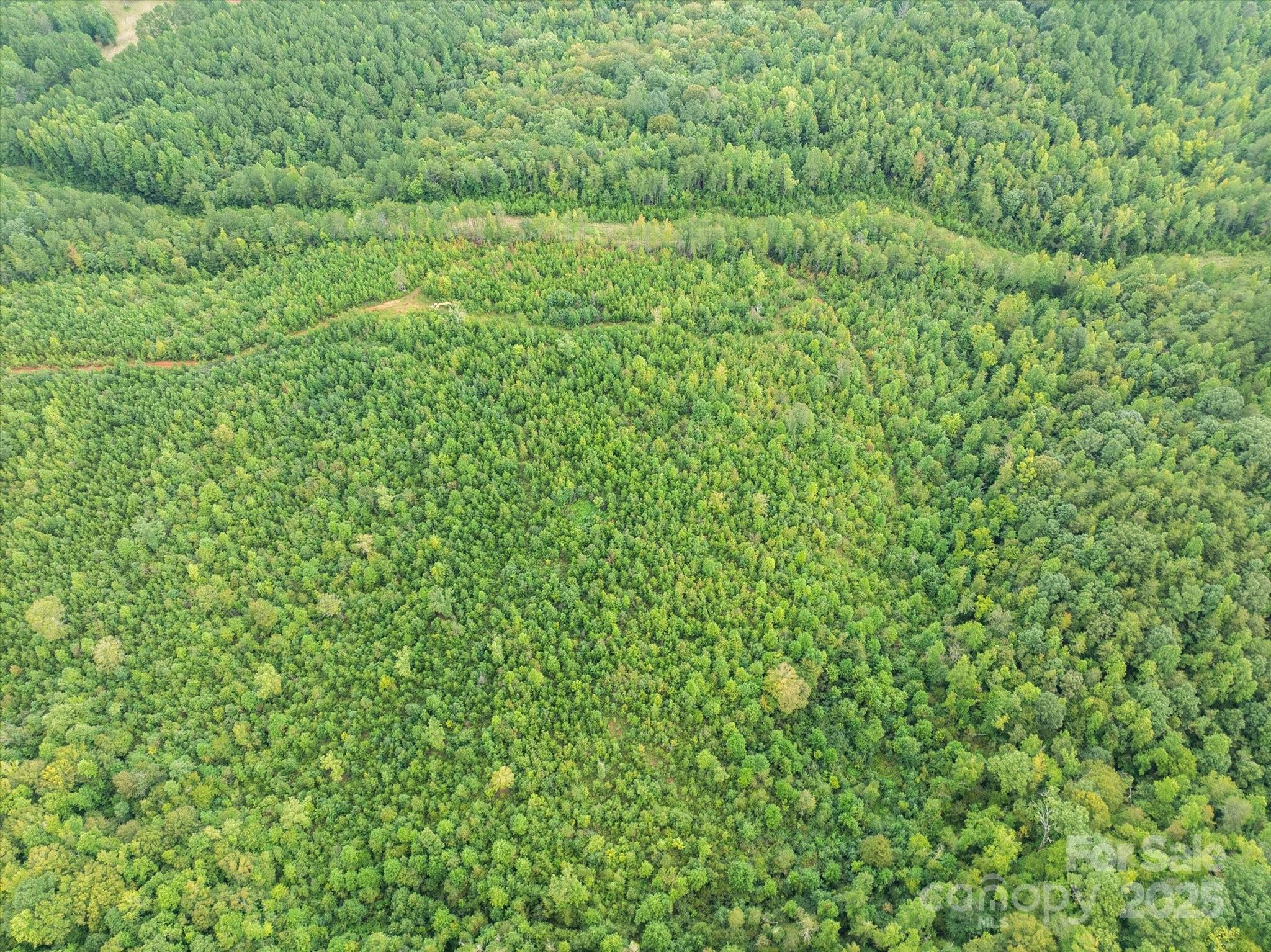 Tbd Pea Ridge Road Mill Spring, NC 28756 - Photo 7 of 25 a view of a lush green space
