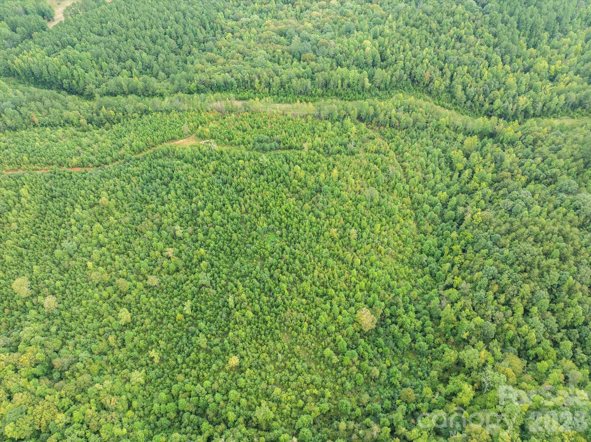 Tbd Pea Ridge Road Mill Spring, NC 28756 - Photo 7 of 25 a view of a lush green space