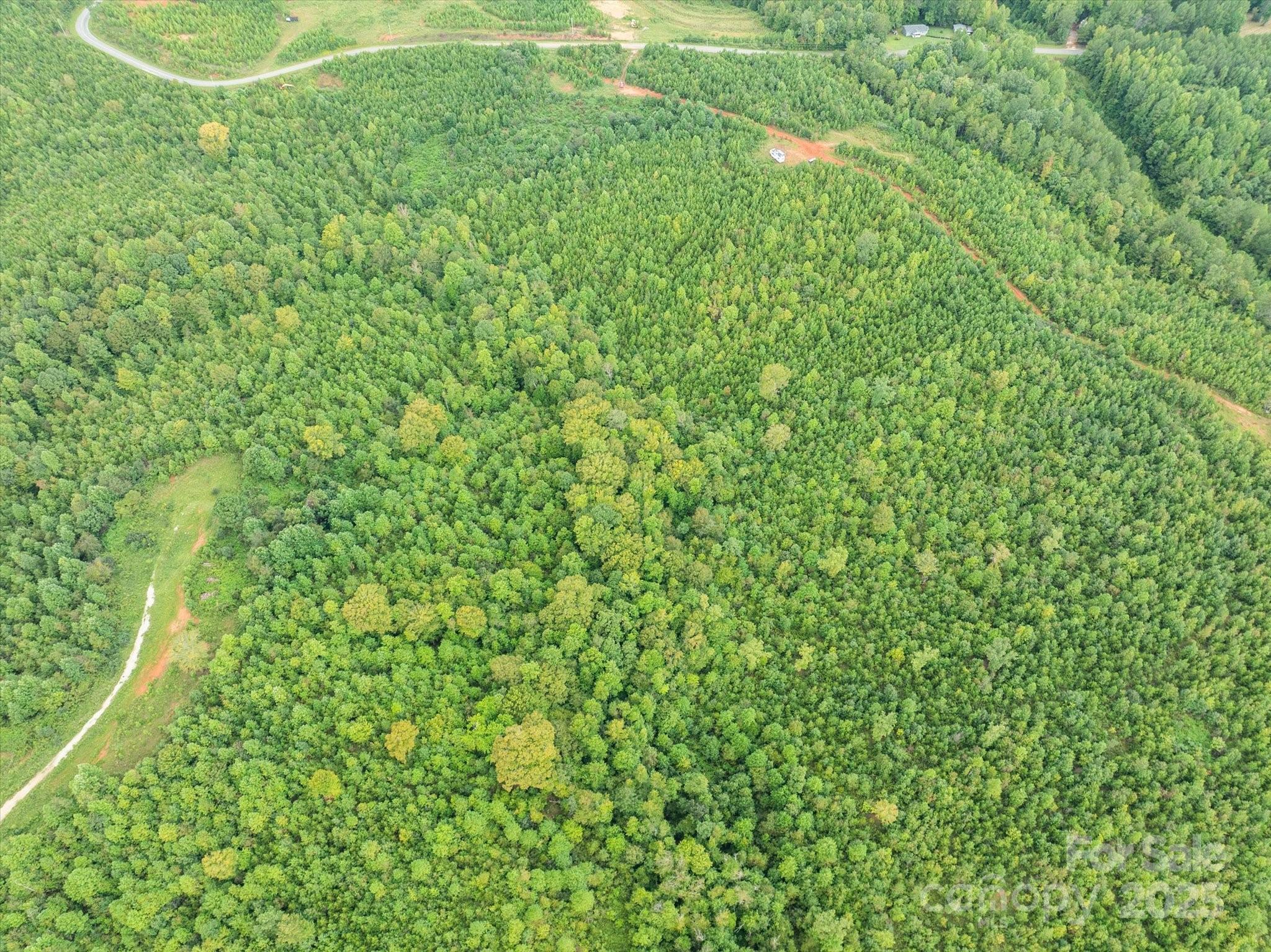 Tbd Pea Ridge Road Mill Spring, NC 28756 - Photo 8 of 25 a view of a lush green space