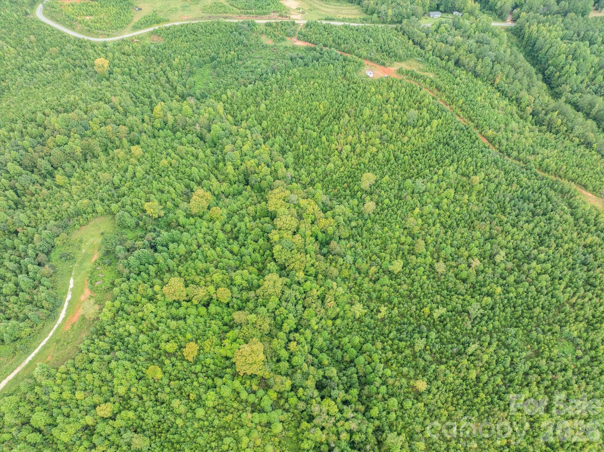 Tbd Pea Ridge Road Mill Spring, NC 28756 - Photo 8 of 25 a view of a lush green space