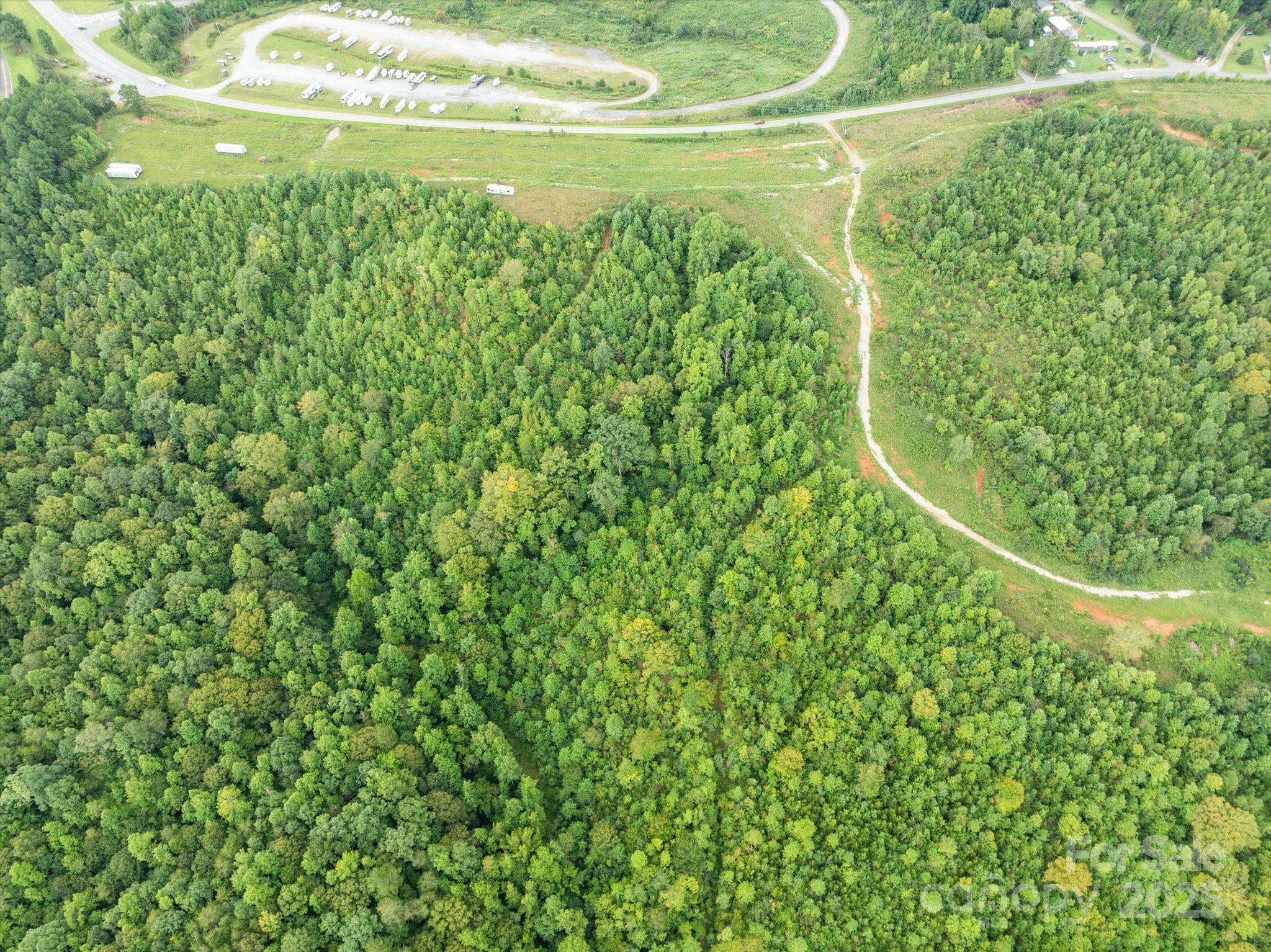 Tbd Pea Ridge Road Mill Spring, NC 28756 - Photo 10 of 25 a view of a yard with an outdoor space