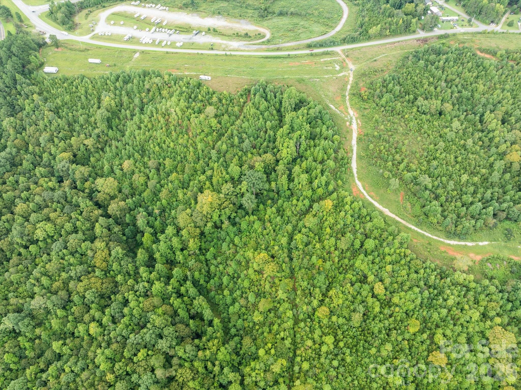 Tbd Pea Ridge Road Mill Spring, NC 28756 - Photo 10 of 25 a view of a yard with an outdoor space
