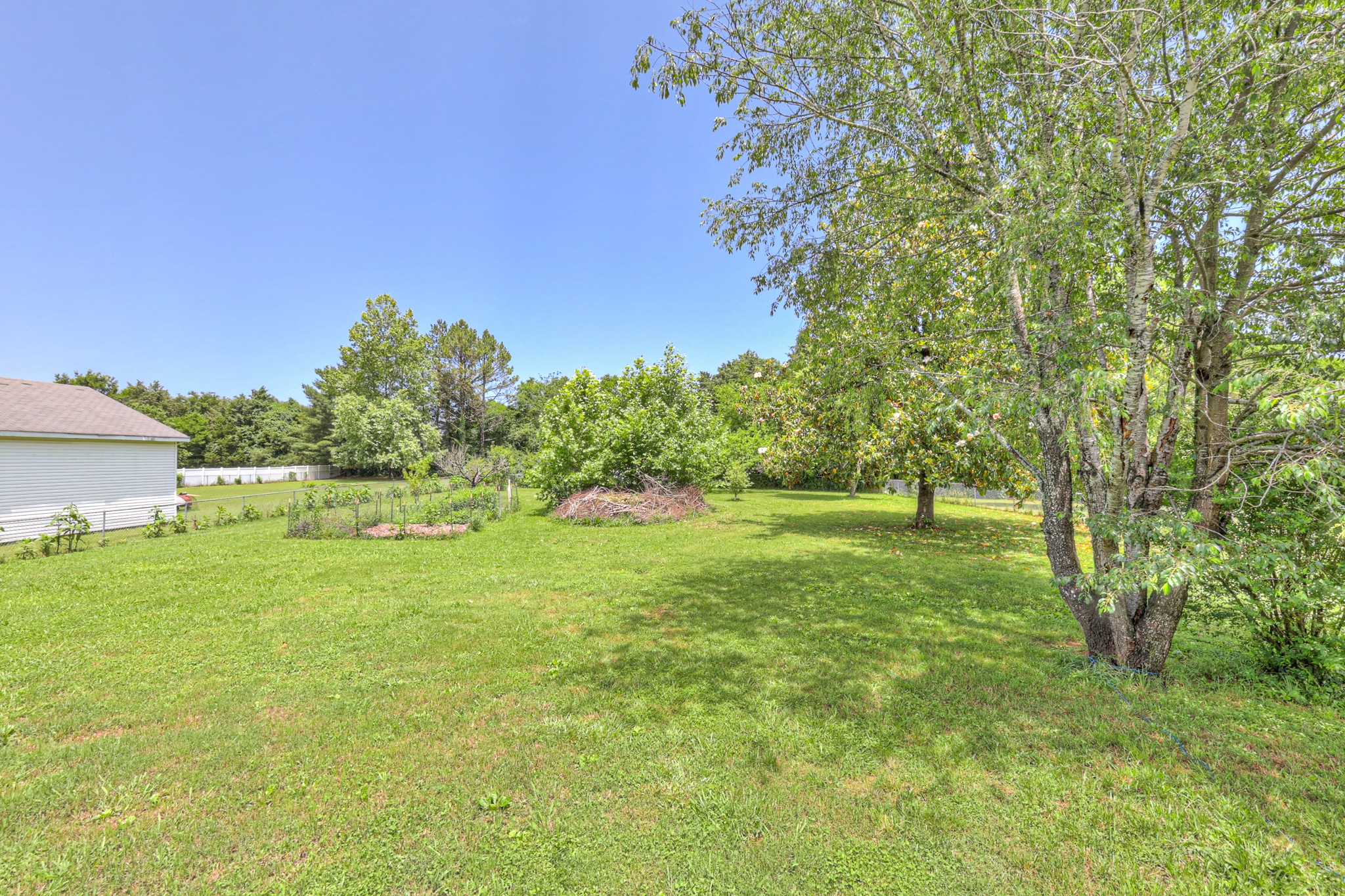 7480 Joe Rowlin Road Christiana, TN 37037 - Photo 19 of 19 Gallery Image 19