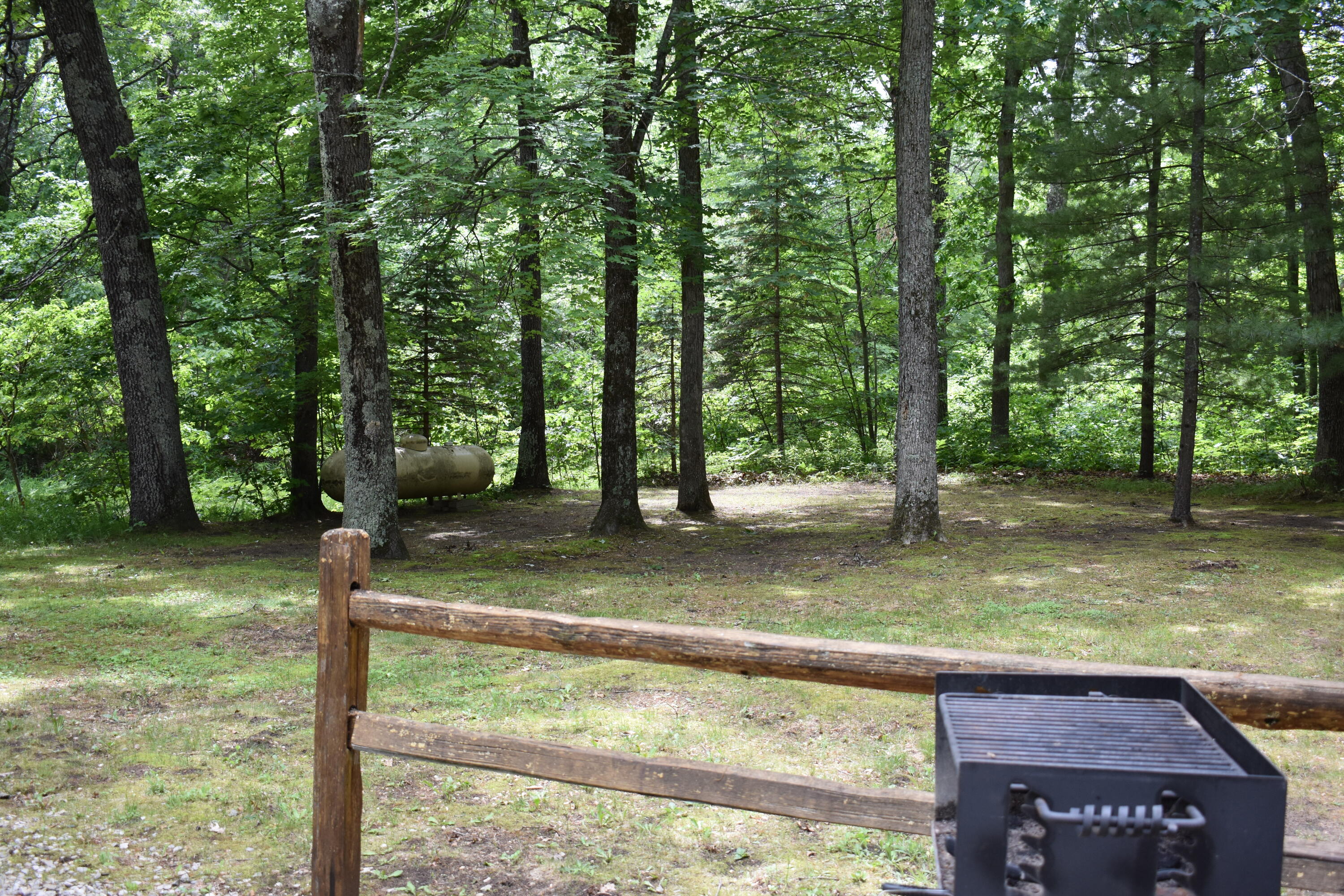 1396 South Baker Road Wellston, MI 49689 - Photo 14 of 16 DSC_0692