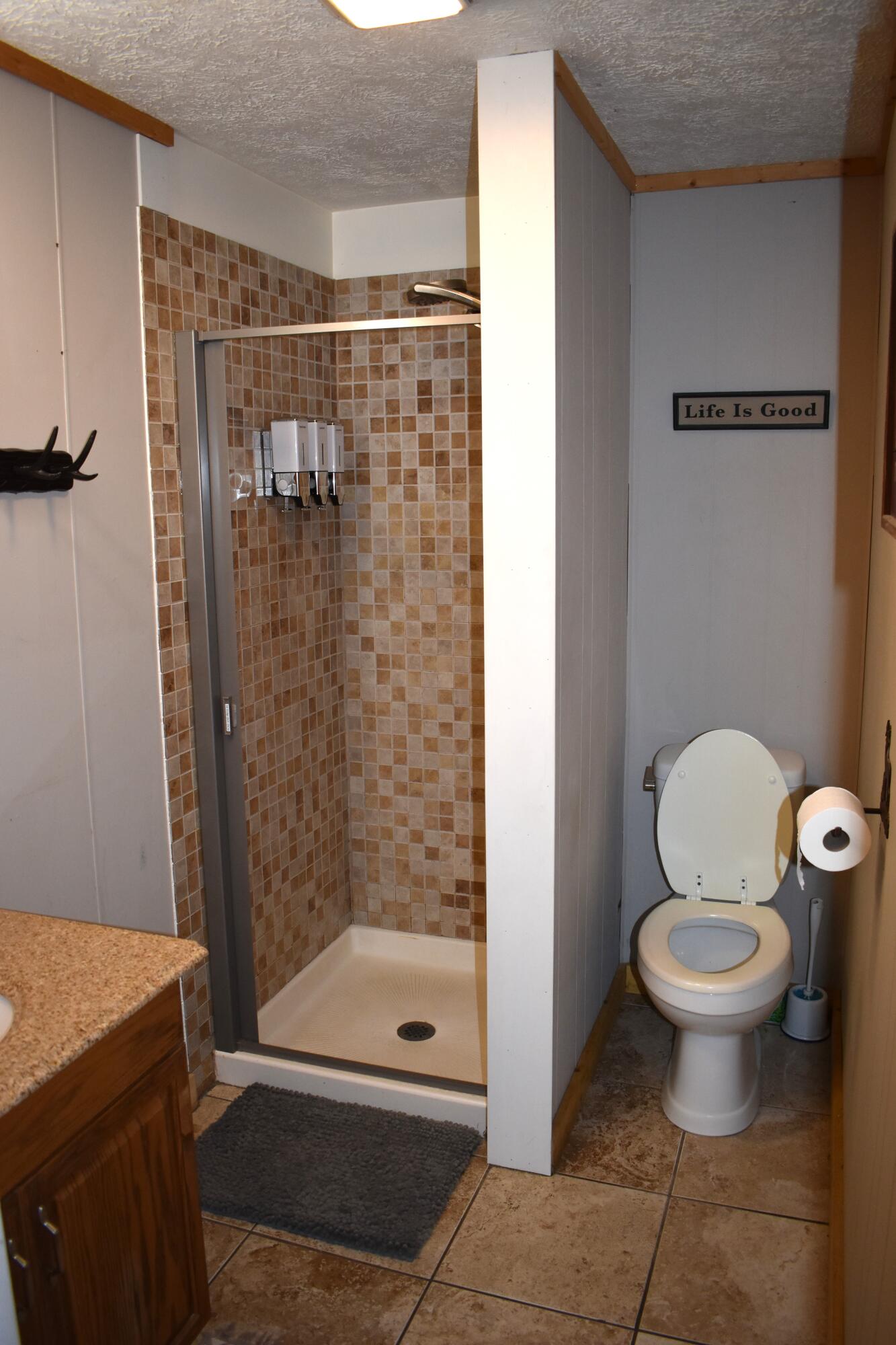 1396 South Baker Road Wellston, MI 49689 - Photo 8 of 16 DSC_0680