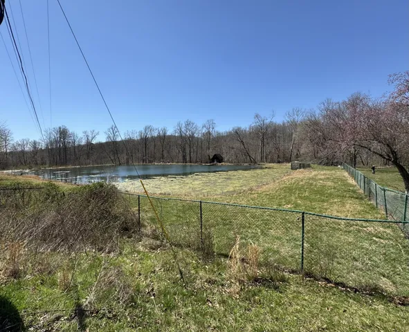a view of a yard with a tree