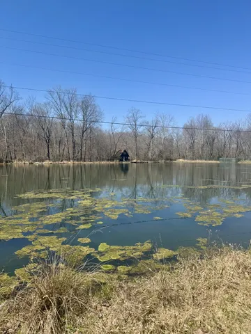 a backyard of a house with lots of green space and lake view