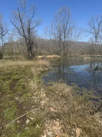 a view of a yard with swimming pool