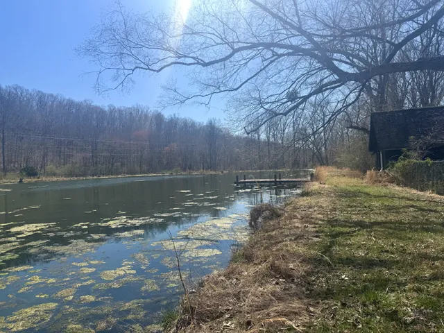 a view of a yard with a lake view