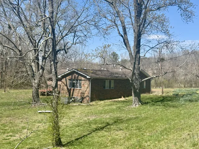 a view of a yard with trees