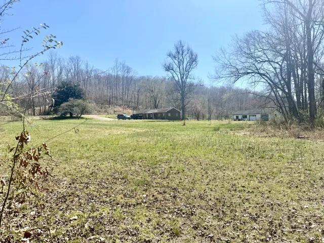 a backyard of a house with a large tree