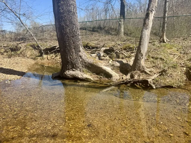 a view of a yard with wooden fence