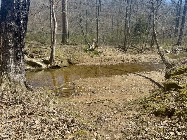a view of a yard covered with snow