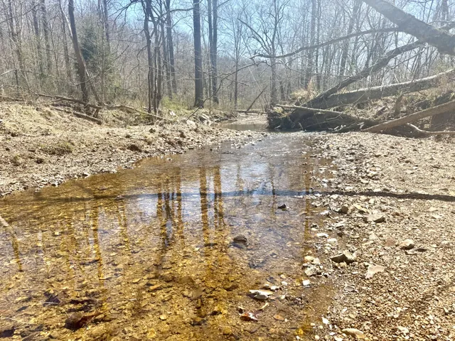 a view of backyard space