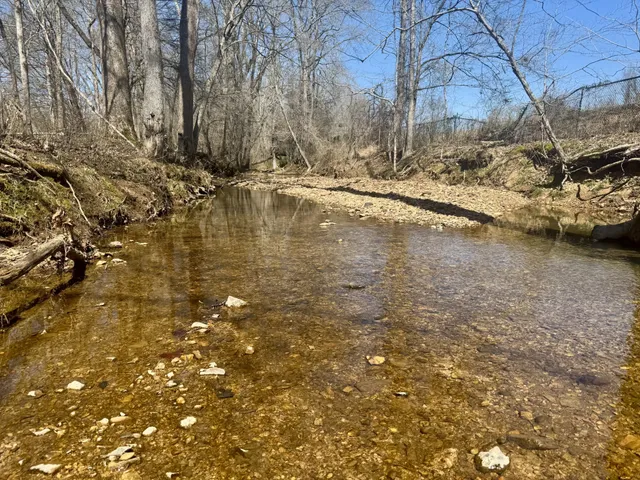 a view of a yard with an outdoor space