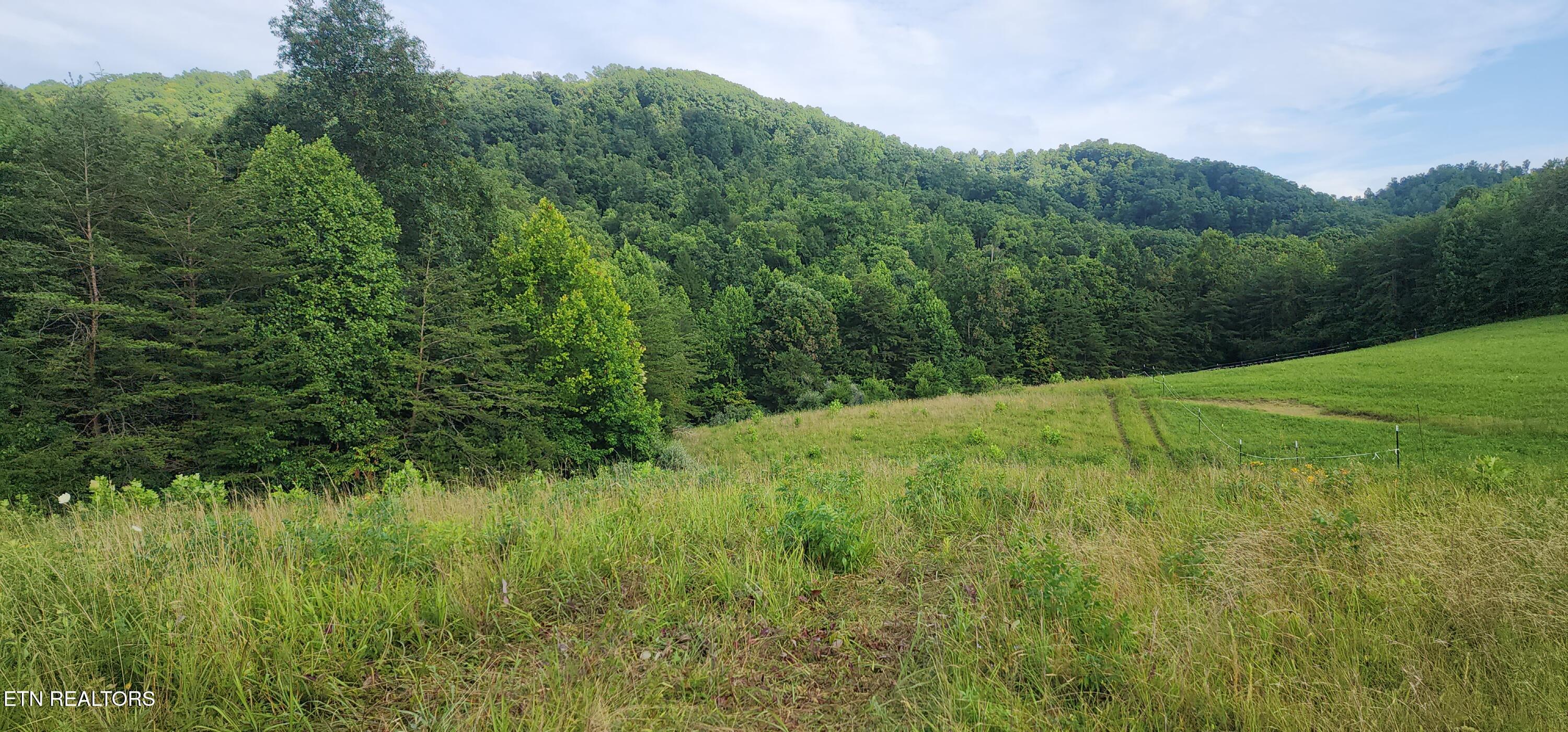 Fairview Road Huntsville, TN 37756 - Photo 11 of 18 20250712_180652